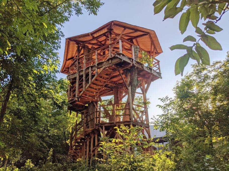 Jungle Wagon - Ecovillage Hainburg Hainburg an der Donau Buitenkant foto